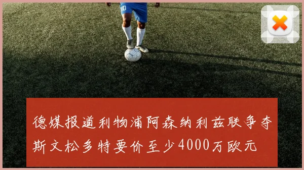 德媒报道利物浦阿森纳利兹联争夺斯文松多特要价至少4000万欧元